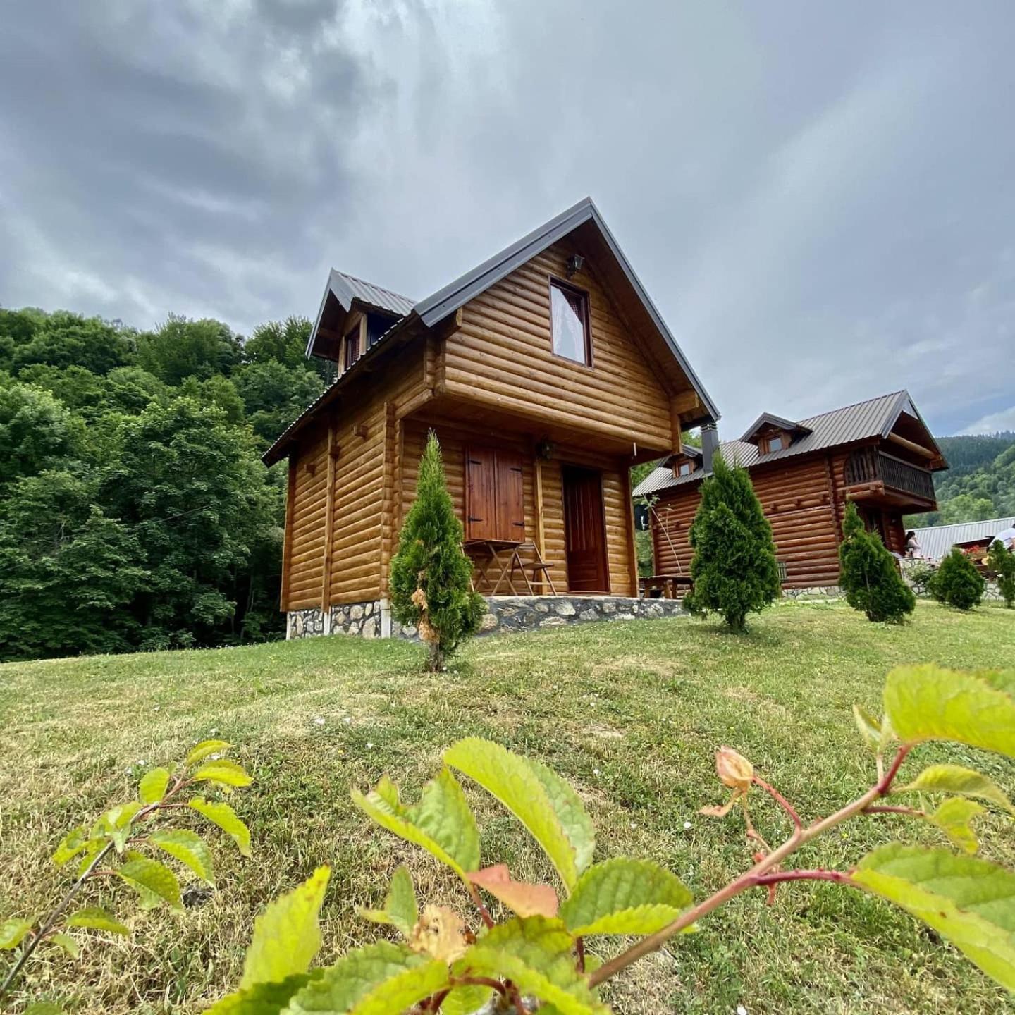Villa Gradine - Katun Kamp Plav Zimmer foto